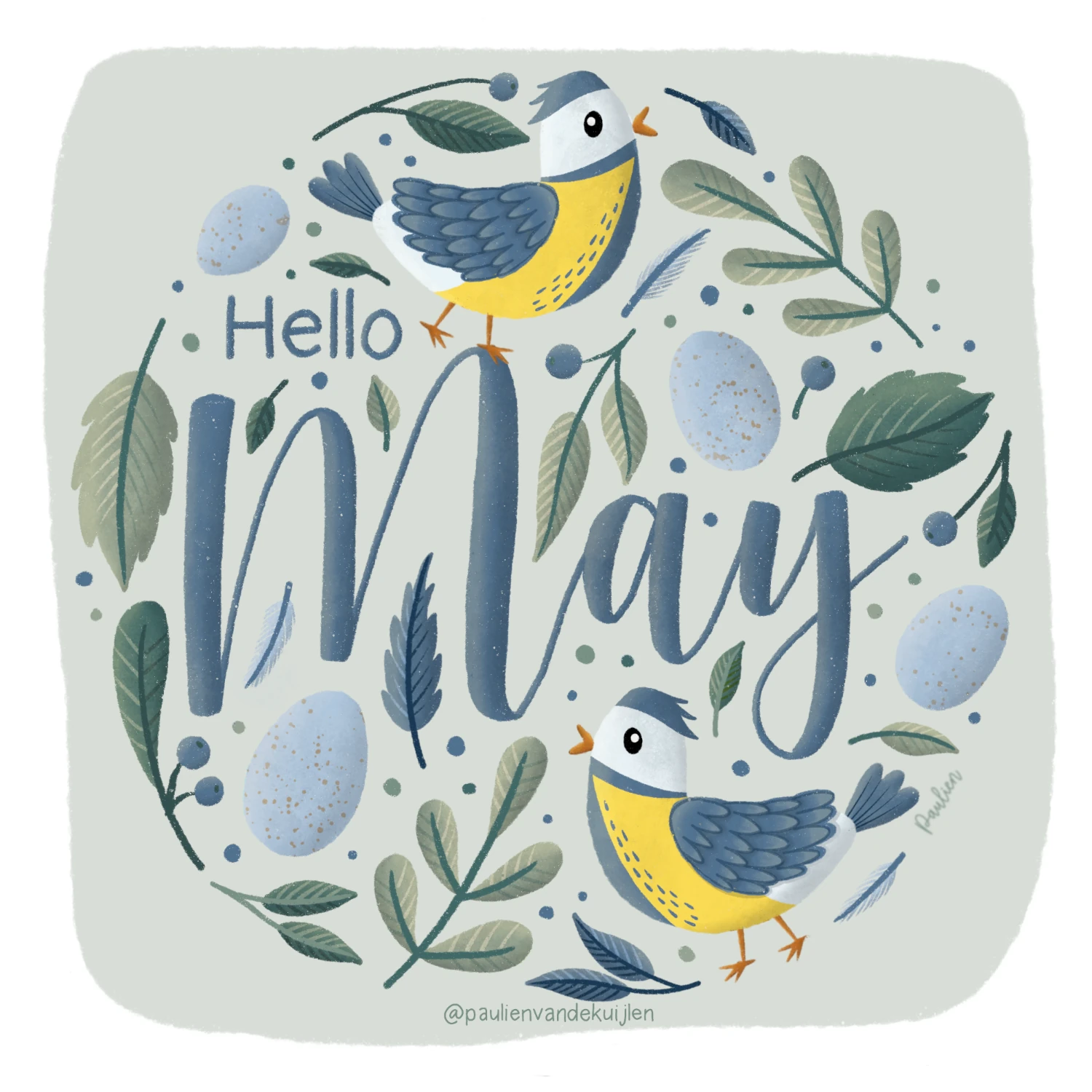 Illustratie met 2 pimpelmeesjes, lichtblauwe eieren, groene blaadjes en blauwe bessen. De elementen vormen een cirkel met in het midden de tekst ‘Hello May’. Getekend in Procreate door Paulien van de Kuijlen.