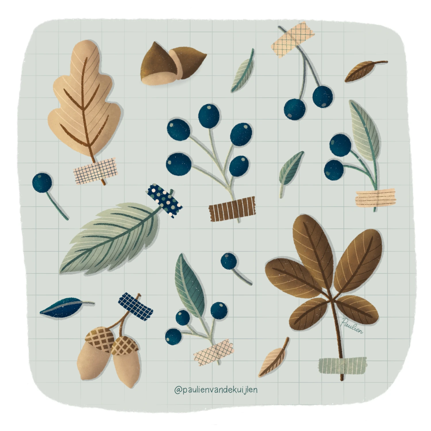 Illustratie-herfstcollectie-herfstbladeren-groen-blauw-bruin-Paulien-van-de-Kuijlen Illustratie met herfstbladeren in blauw,- groen- en bruintinten, takken met bessen en eikels vastgeplakt met stukjes washitape op een lichtgroene achtergrond met subtiel ruitjespatroon. Gemaakt in Procreate door Paulien van de Kuijlen.