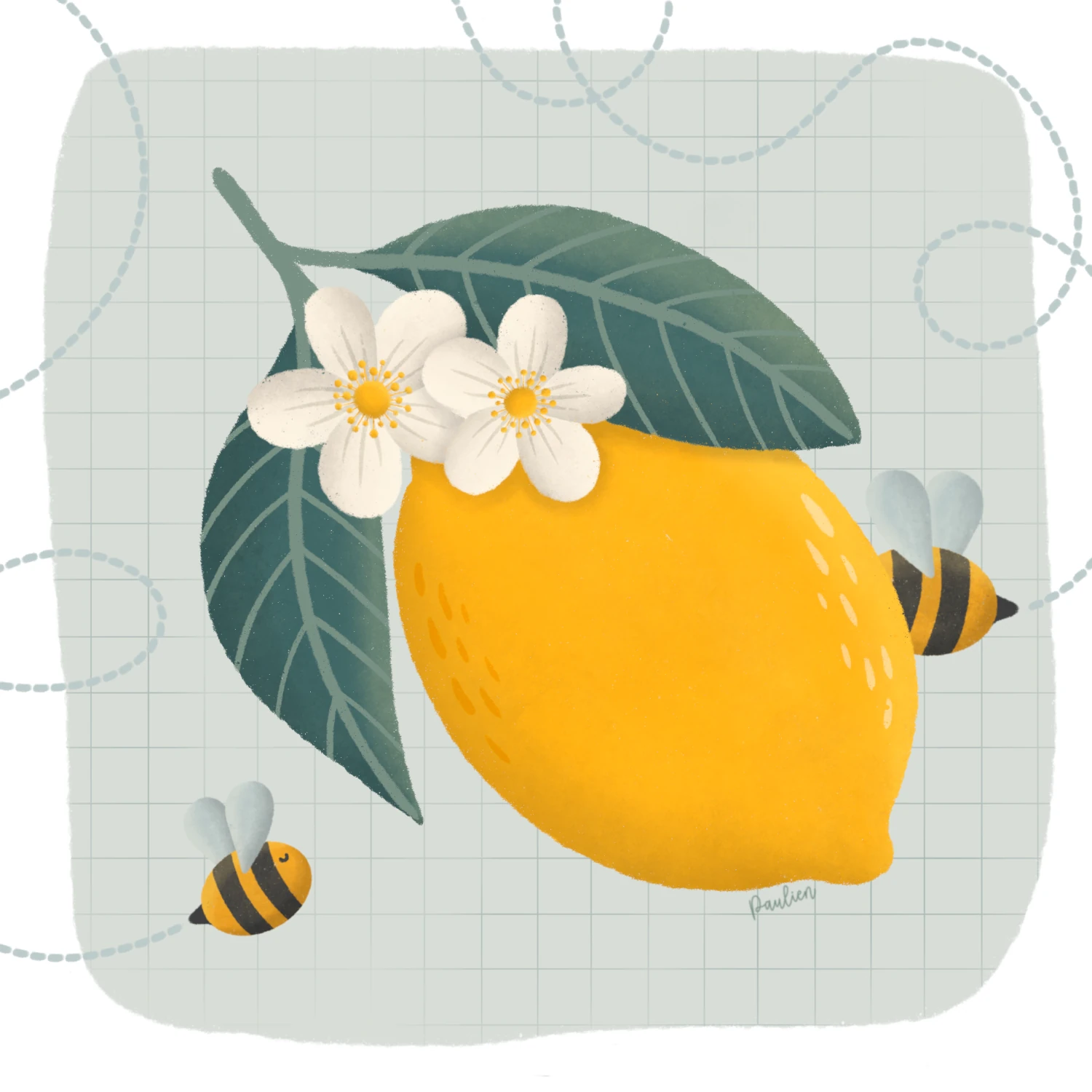 Illustratie-met-citroen-bloesem-bijtjes-door-Paulien-van-de-Kuijlen Illustratie van een tak met een grote gele citroen, twee groene blaadjes en witte bloesem, omringd door twee vliegende bijtjes. Gemaakt in Procreate door Paulien van de Kuijlen.