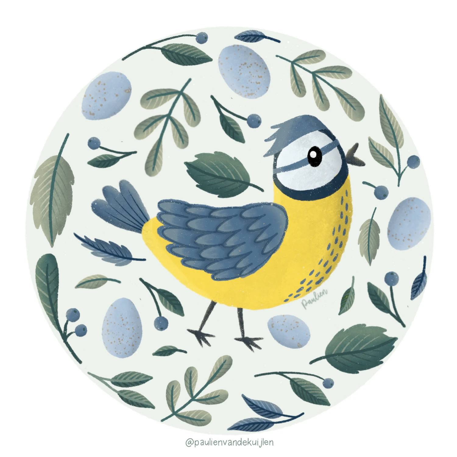 Illustratie-pimpelmeesje-eieren-blaadjes-bessen-door-Paulien-van-de-Kuijlen Illustratie met een pimpelmeesje, lichtblauwe eieren, groene blaadjes en blauwe bessen op een lichtgroene cirkelvormige achtergrond. Gemaakt in Procreate door Paulien van de Kuijlen.